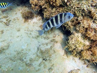 ボネール島 気象ゾーン