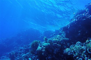 ボネール島