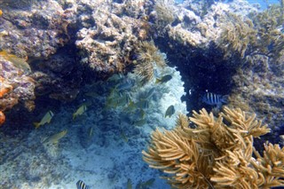 Bonaire időzónák