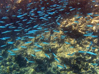 Bonaire