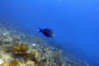Bonaire laika joslas