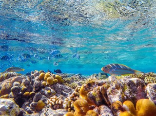Bonaire vremenske zone