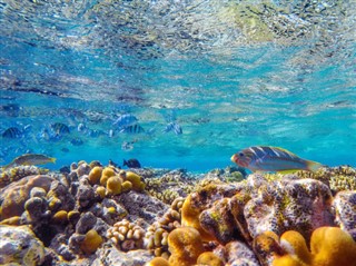 Bonaire