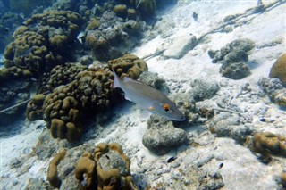 ボネール島 気象ゾーン