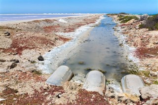 ボネール島