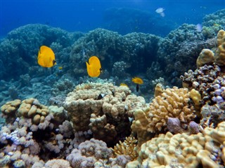 Bonaire vremenske zone