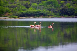 Bonaire