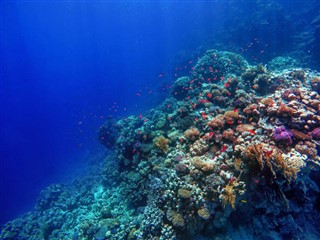 ボネール島 気象ゾーン