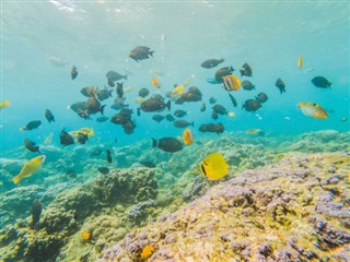 Bonaire