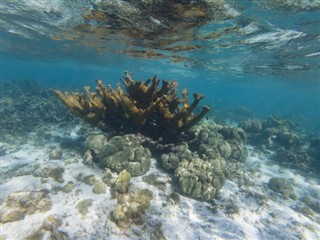 ボネール島