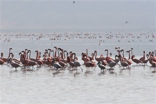 Bonaire