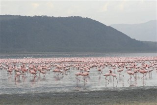 Bonaire vejrzoner