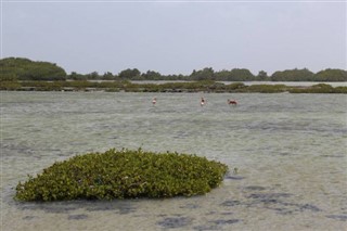 Bonaire