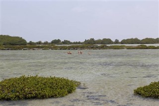 Bonaire