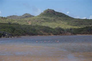 ボネール島