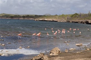 Bonaire  time zones