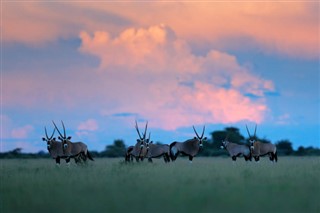 Botswana