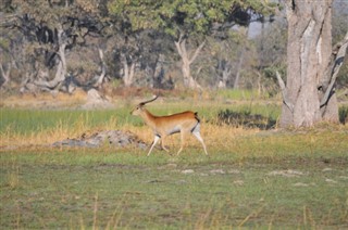 Botswana