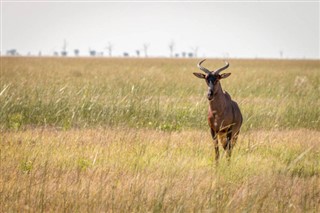 Botswana