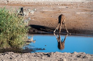 ボツワナ 気象ゾーン