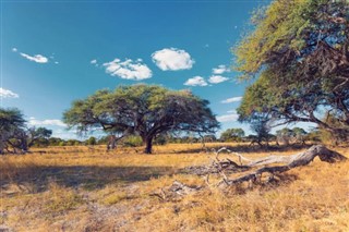 بوتسوانا
