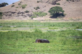 Botswana