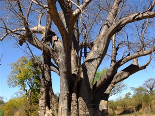 Botswana