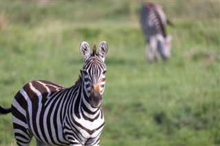 Botswana