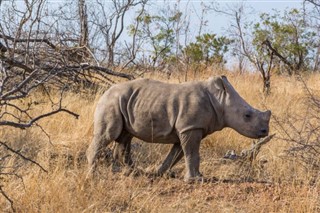 Botswana