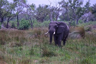 Botswana