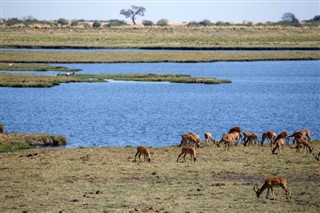 Botswana time zones