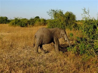 Botswana