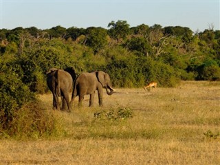 Botswana