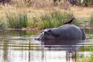 Botswana