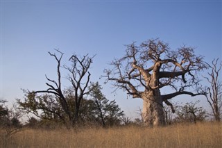 Botswana