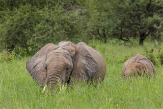 Botswana