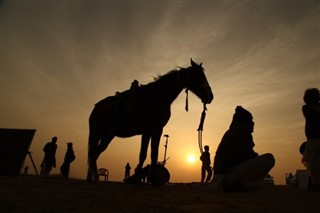 বোট্স্বানা