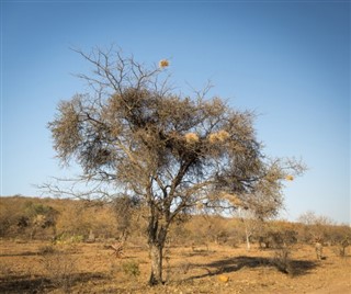 Bocvana vremenske zone