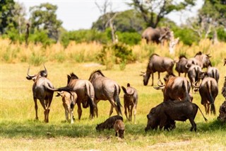 Botswana