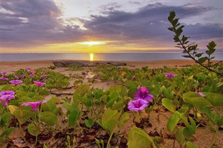 ブーヴェ島