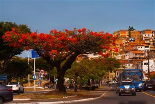 Brasilia