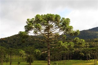 Brasilía