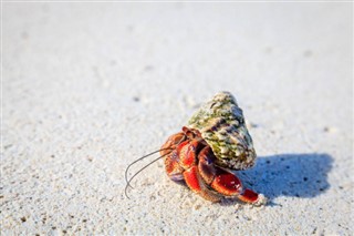 イギリス領バージン諸島