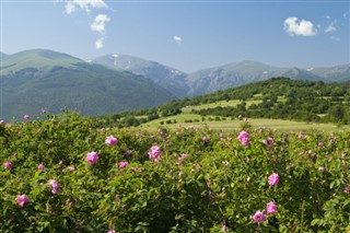 Bulgarien