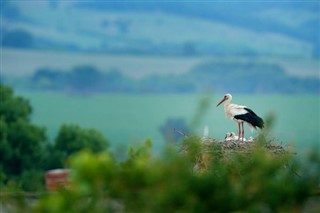 Bulgarije