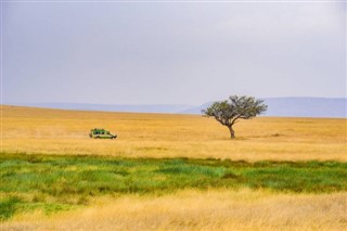 বুর্কিনা