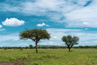 Burkina