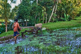 Camboja