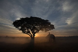 Camboya