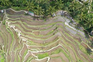 Cambodia